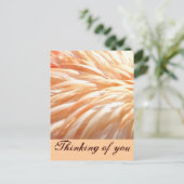 Carte Postale Plumes de Flamant rose_ (Debout devant)