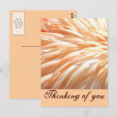 Carte Postale Plumes de Flamant rose_ (Devant / Derrière)