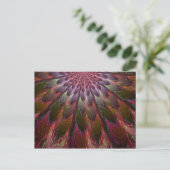 Carte Postale Plumes de paon (Debout devant)
