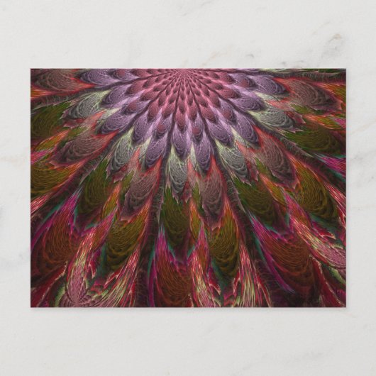 Carte Postale Plumes de paon (Devant)