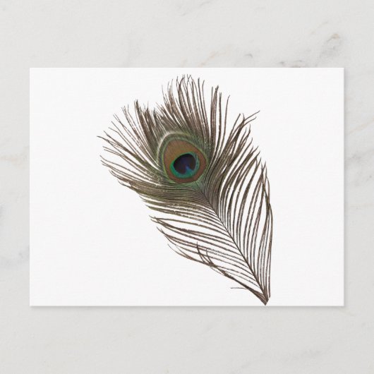 Carte Postale Plumes de paon (Devant)