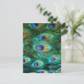 CARTE POSTALE PLUMES DE PAON (Debout devant)