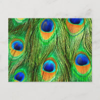 Plumes de paon colorées Imprimer