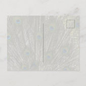 Carte Postale Plumes de paon Kauai Hawaii (Dos)