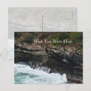 Carte Postale Plumes de paon Kauai Hawaii