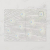 Carte Postale Plumes de paon Kauai Hawaii (Dos)