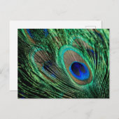 Carte Postale Plumes de paon Lucky (Devant / Derrière)