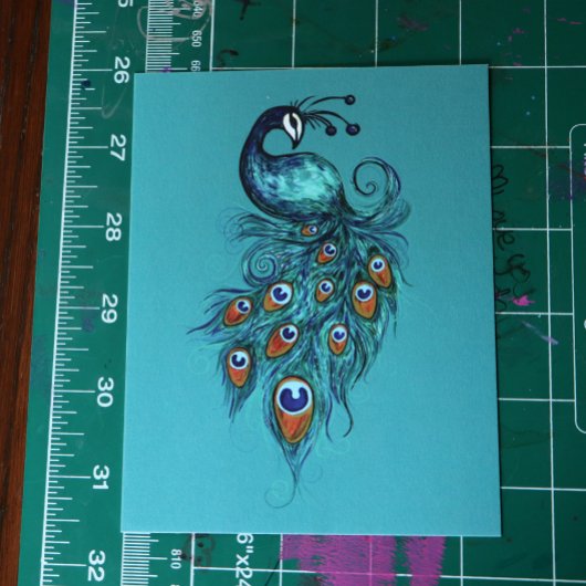 Carte Postale Plumes de paon Peacocks Turquoises