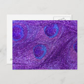 Carte Postale plumes de paon scintillantes indigo violet (Devant / Derrière)
