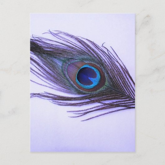 Carte Postale Plumes de paon violet (Devant)