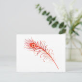 Carte Postale Plumes de paquetage (Debout devant)