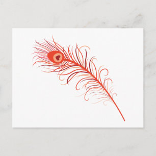 Carte Postale Plumes de paquetage