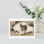 Carte Postale Plumes de Turquie (Debout devant)