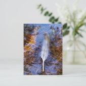 Carte Postale Plumes d'Egret (Debout devant)