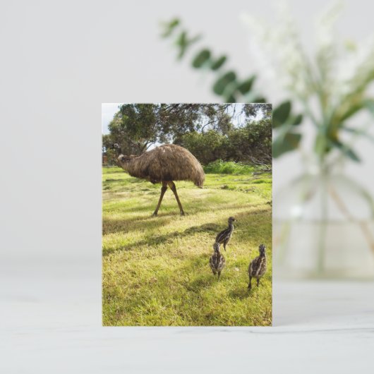 Carte Postale "Plumes et pas de pas : Père Emu avec les poussins (Debout devant)