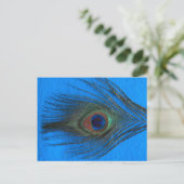 Carte Postale Plumes Peacock Arrière - plan bleu (Debout devant)