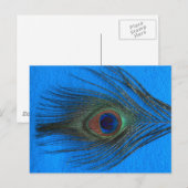 Carte Postale Plumes Peacock Arrière - plan bleu (Devant / Derrière)