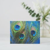 Carte Postale Plumes Peacock Bleues (Debout devant)