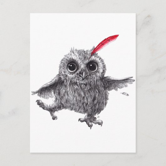 Carte Postale Plumes rouges - Le patron (Devant)