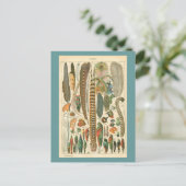 Carte Postale Plumes vintages (Debout devant)