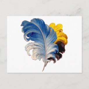 Carte Postale Plumes vintages en plume d'autruche colorée
