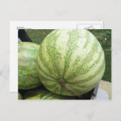 Carte Postale Plump Melon (Devant / Derrière)