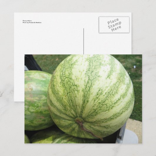 Carte Postale Plump Melon (Devant / Derrière)