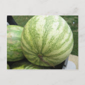 Carte Postale Plump Melon (Devant)