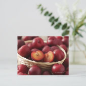 Carte Postale Plums dans le panier (Debout devant)