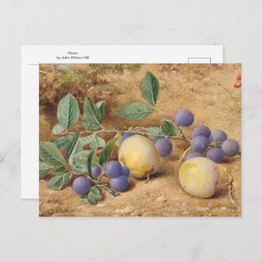 Carte Postale Plums par John William Hill (Devant / Derrière)