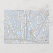 Carte Postale Plus haut (Dos)