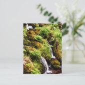 Carte Postale Plus ou moins (Debout devant)