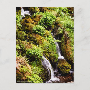 Carte Postale Plus ou moins