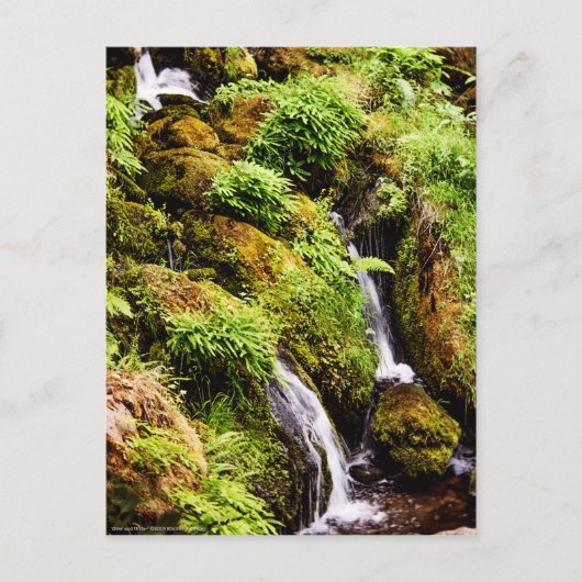 Carte Postale Plus ou moins (Devant)