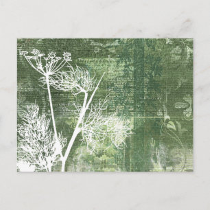 Carte Postale Plutôt vert et blanc semence de Dandelion Vintage