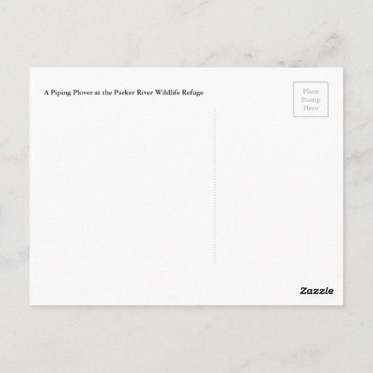 Carte postale Pluvier (Dos)