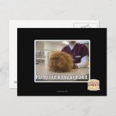 Carte Postale Plz remoov votre main (Devant / Derrière)