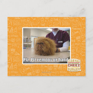 Carte Postale Plz remoov votre main