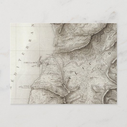 Carte Postale Pneu, Sidon, Israël (Devant)