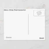 Carte Postale Pneus (Dos)