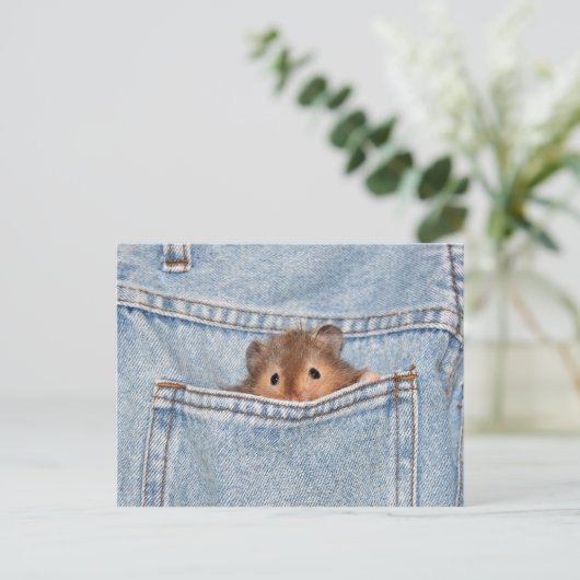 Carte Postale Poche (Debout devant)