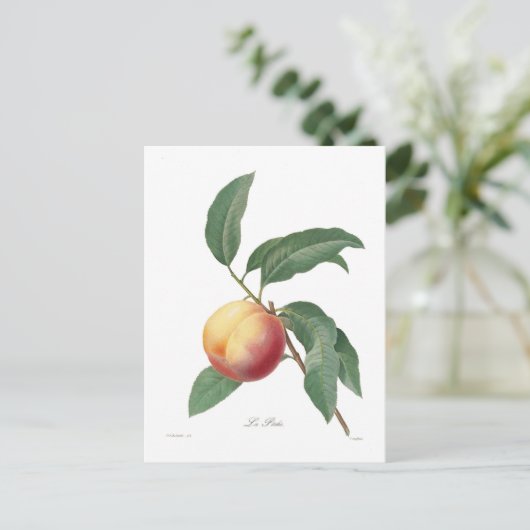 Carte Postale Poche (Debout devant)