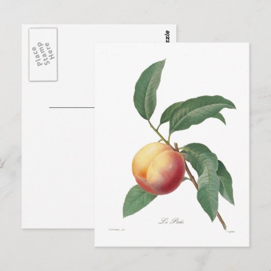 Carte Postale Poche (Devant / Derrière)