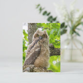 Carte Postale Poche (Debout devant)