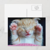 Carte Postale Poches vers le haut Kitty (Devant / Derrière)