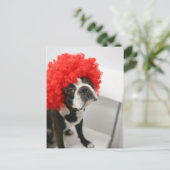 Carte Postale Pocky Postcards (Debout devant)