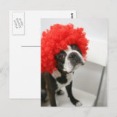 Carte Postale Pocky Postcards (Devant / Derrière)