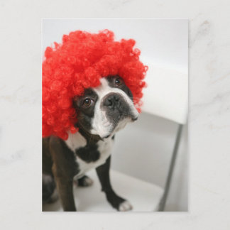 Carte Postale Pocky Postcards