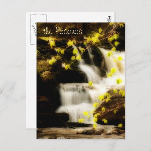 Carte postale Poconos Springtime Waterfall Scene (Devant / Derrière)
