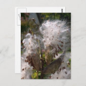 Carte Postale Pod (Devant / Derrière)